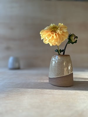 Handcrafted Ceramic Bud Vase in White and Cinnamon